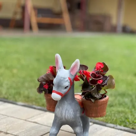 Villa La Mimi Sadu
